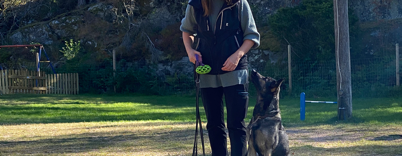 Schäfern Aika sitter fint vid sin förares vänstra sida. Föraren har en leksak i handen