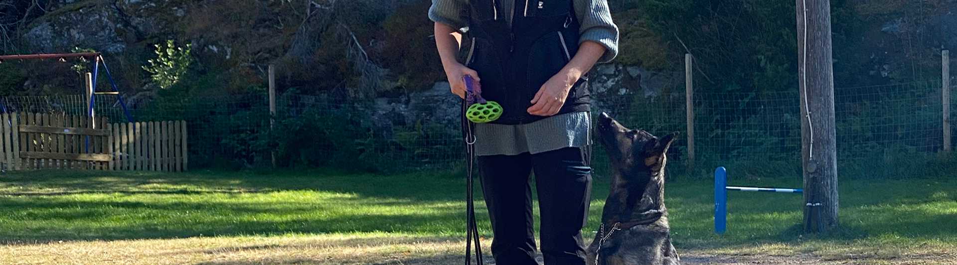 Schäfern Aika sitter fint vid sin förares vänstra sida. Föraren har en leksak i handen