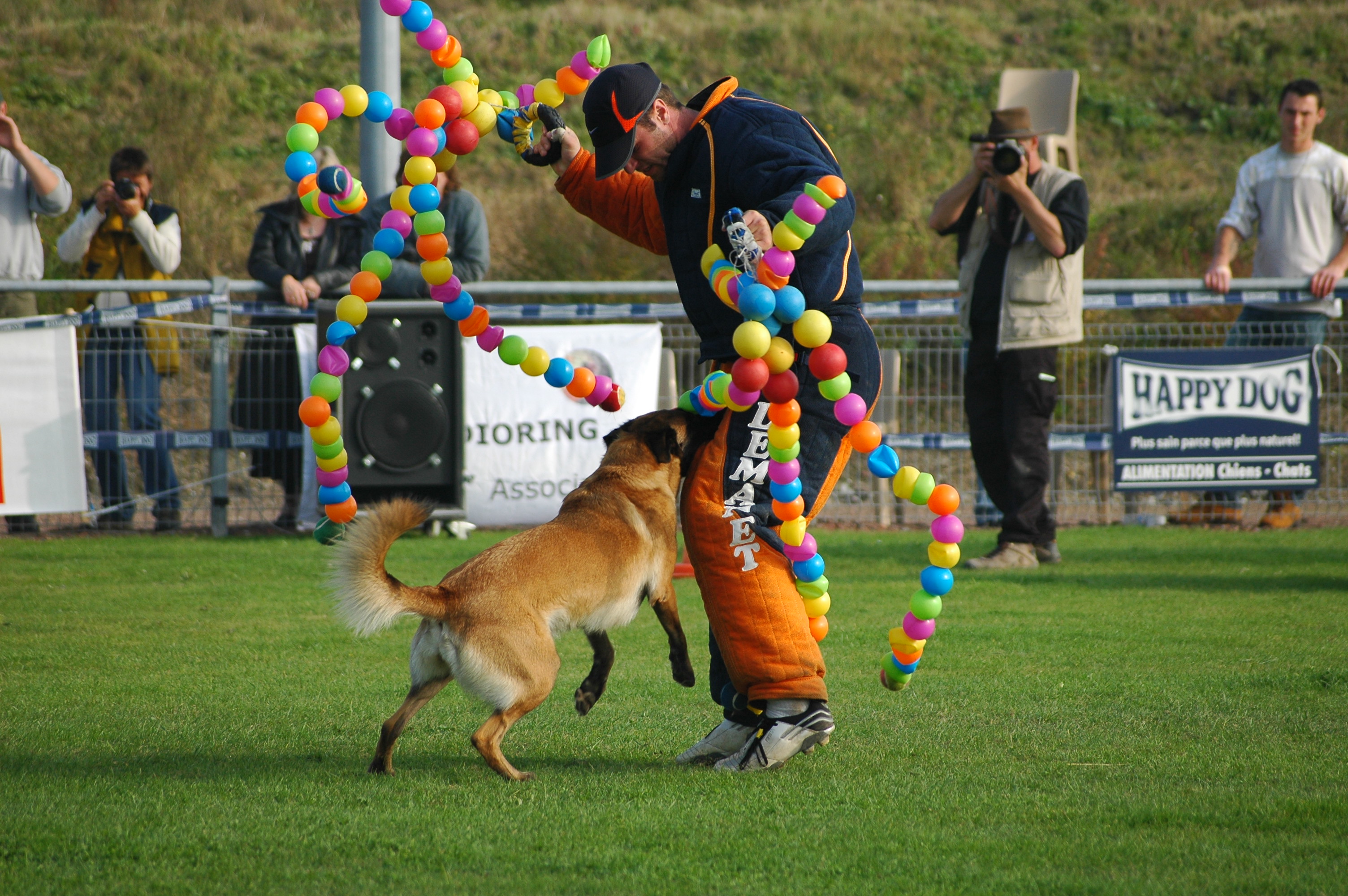 Malle i angrepp mot figurant med bollar i snöre Mondioring