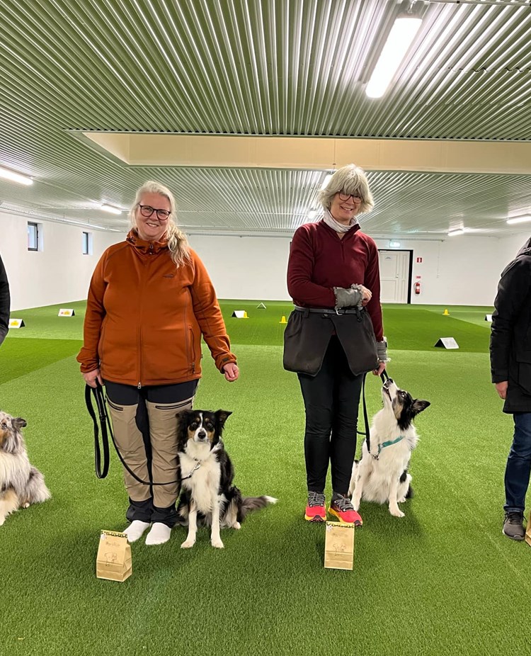 Klubbmästare Rally 2024