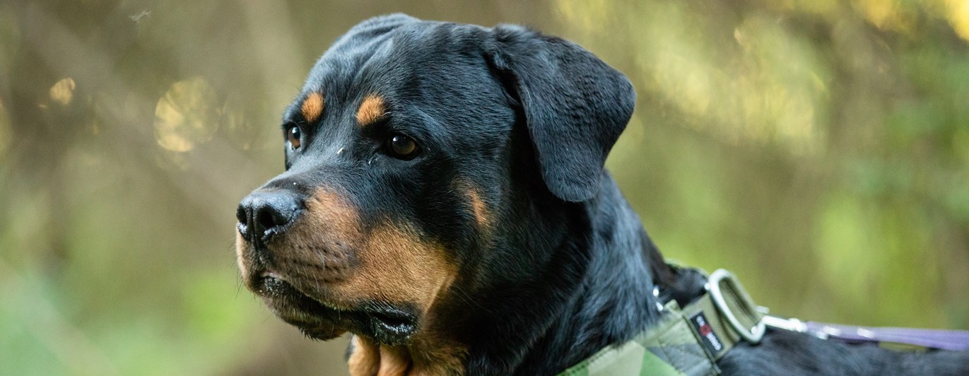 Fotograf: Magnus Fröderberg