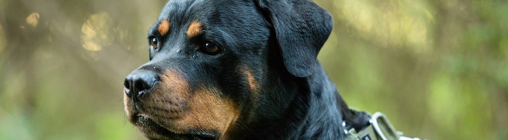 Fotograf: Magnus Fröderberg