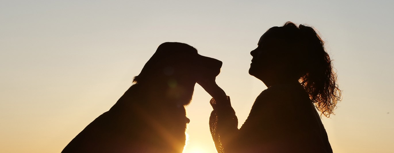 Gemenskap hund och människa i soluppgång