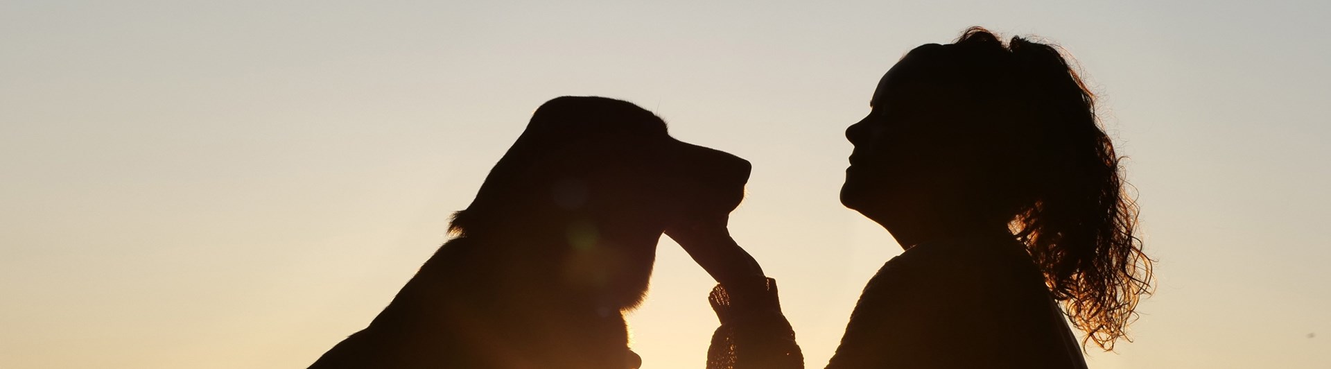 Gemenskap hund och människa i soluppgång