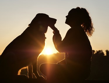 Gemenskap hund och människa i soluppgång