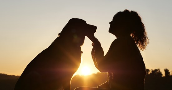Gemenskap hund och människa i soluppgång