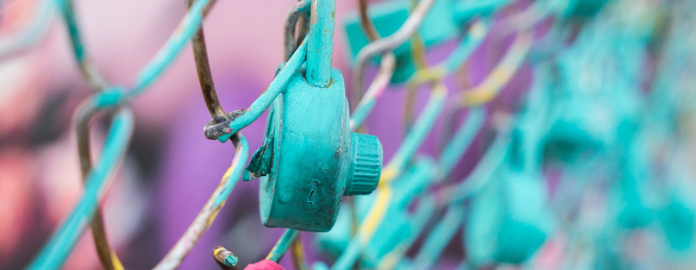 Foto: Paulius Dragunas - Unsplash