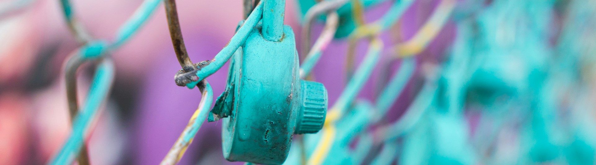Foto: Paulius Dragunas - Unsplash