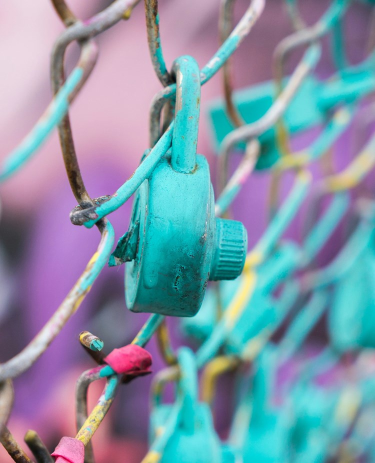 Foto: Paulius Dragunas - Unsplash