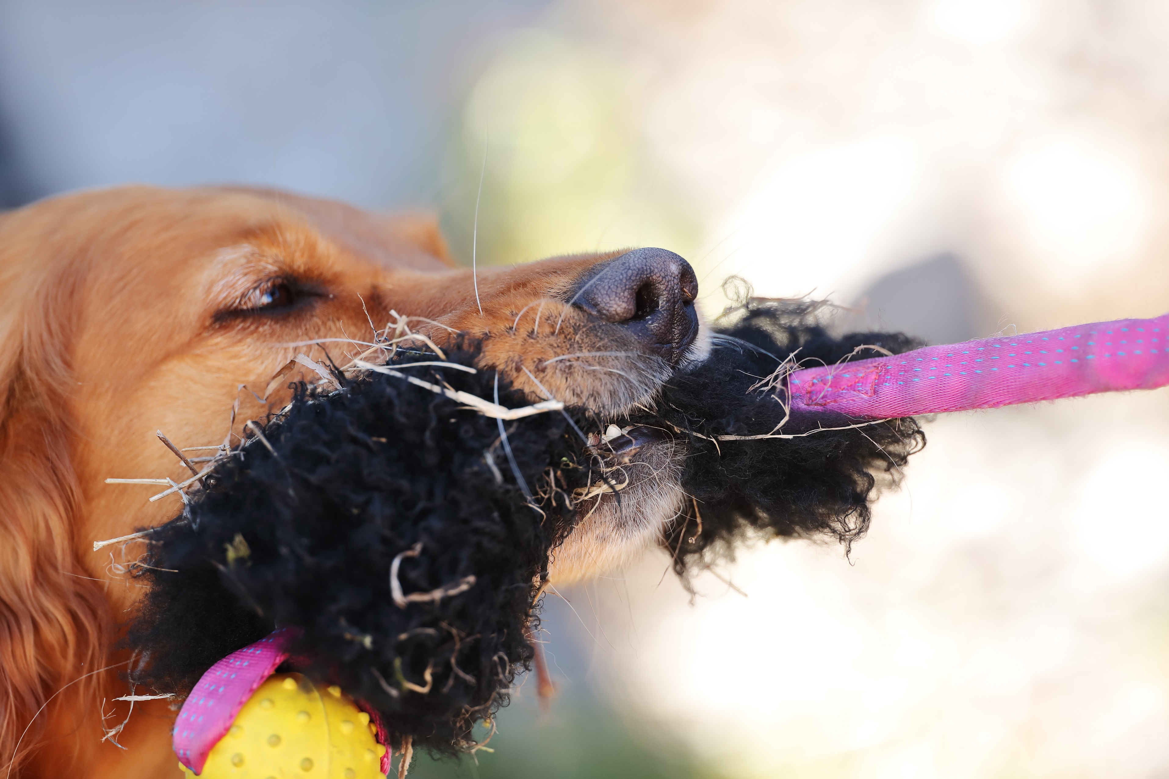 Fotograf: Nils-Petter Nilsson