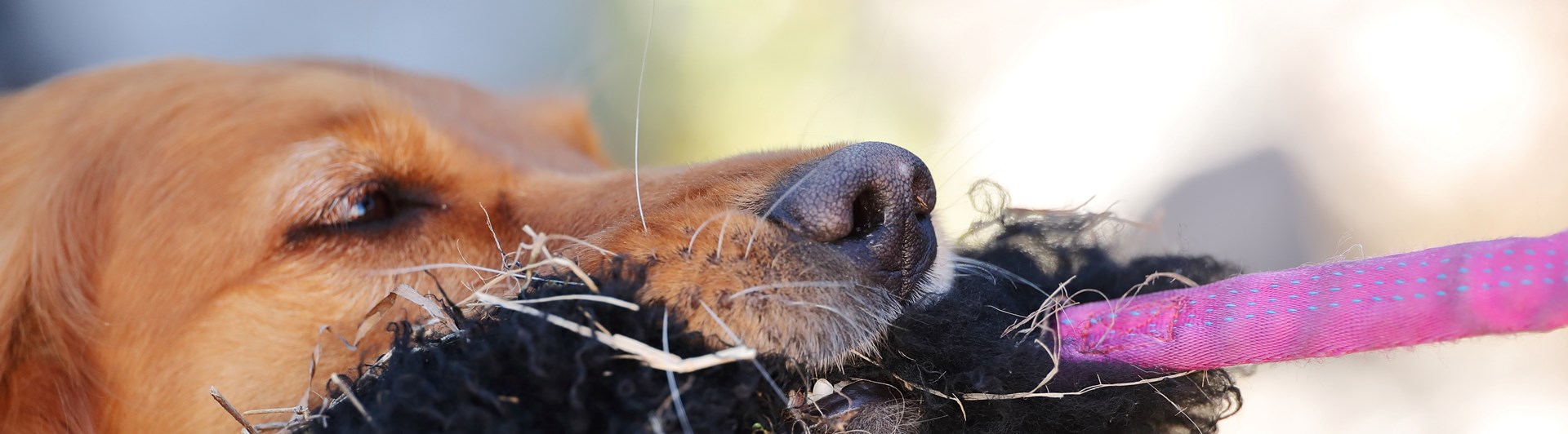 Fotograf: Nils-Petter Nilsson