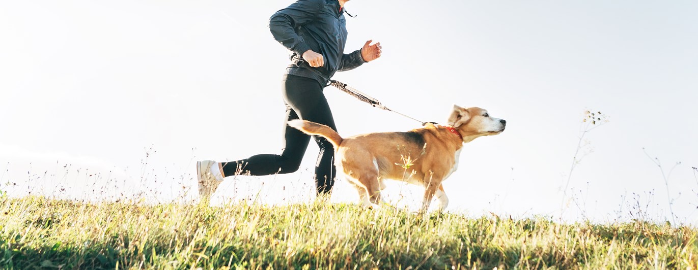 Man och hund springer
