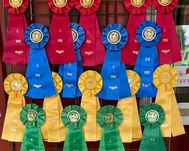 Rosetter för hundutställning