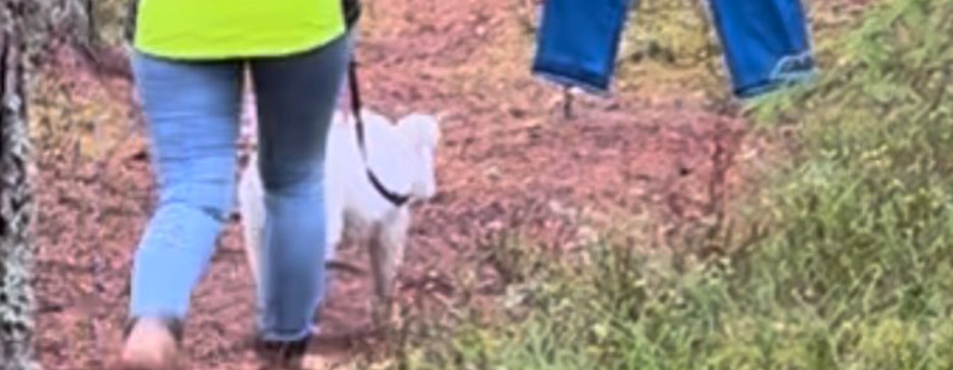 Pumi på MH i Hällefors