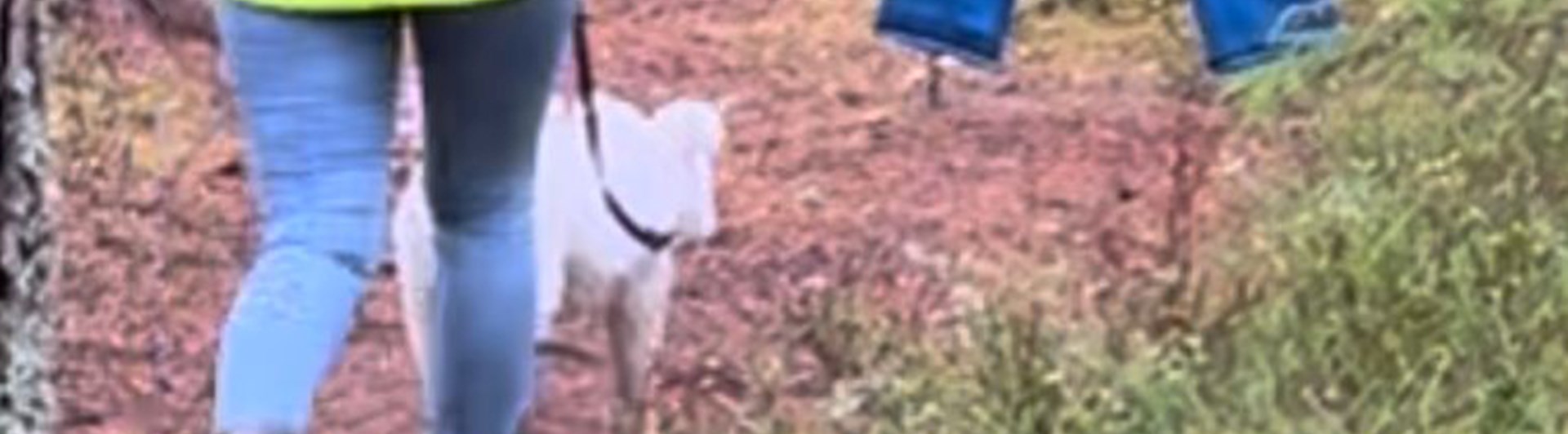 Pumi på MH i Hällefors