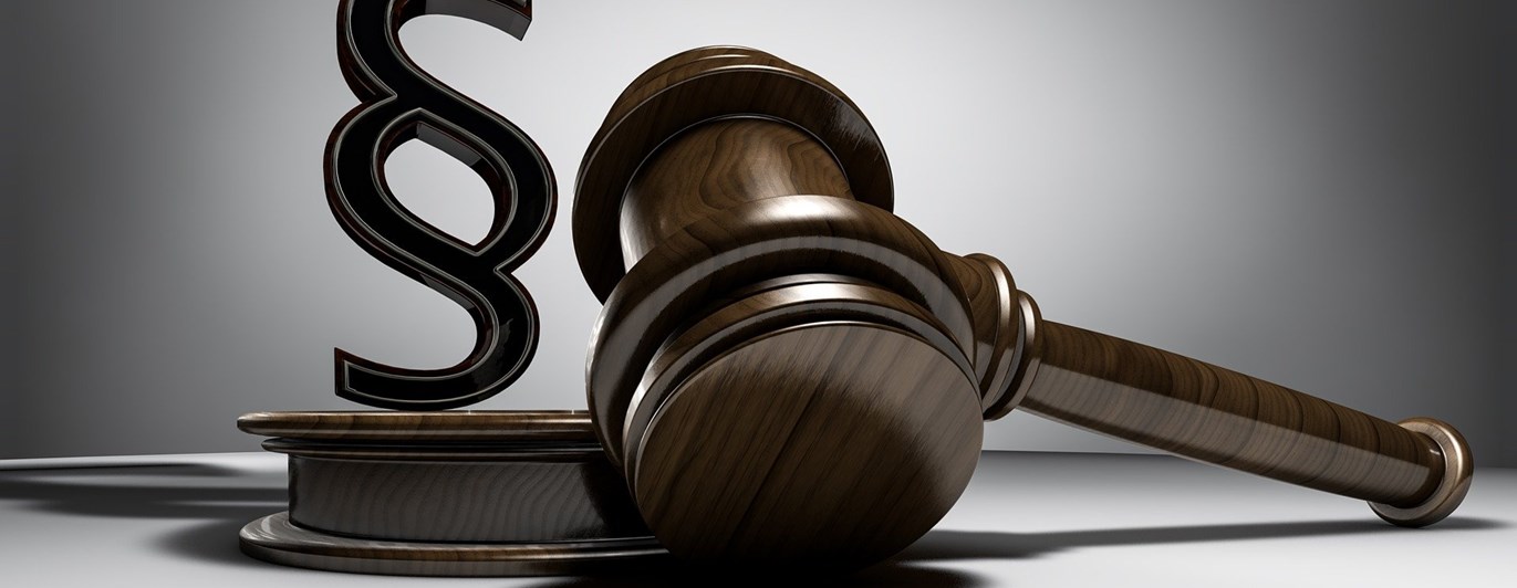 Bild på en paragraf och en mötesklubba.