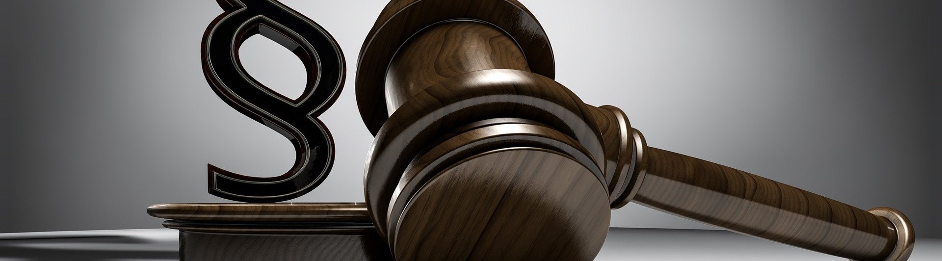 Bild på en paragraf och en mötesklubba.