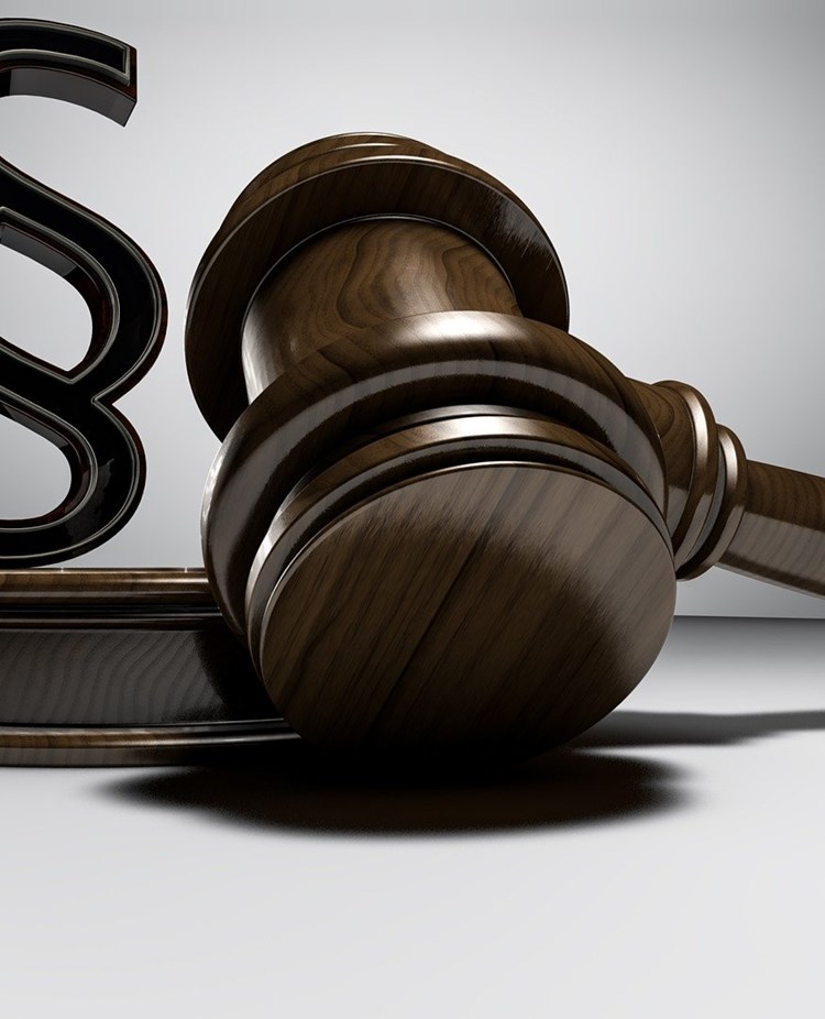 Bild på en paragraf och en mötesklubba.