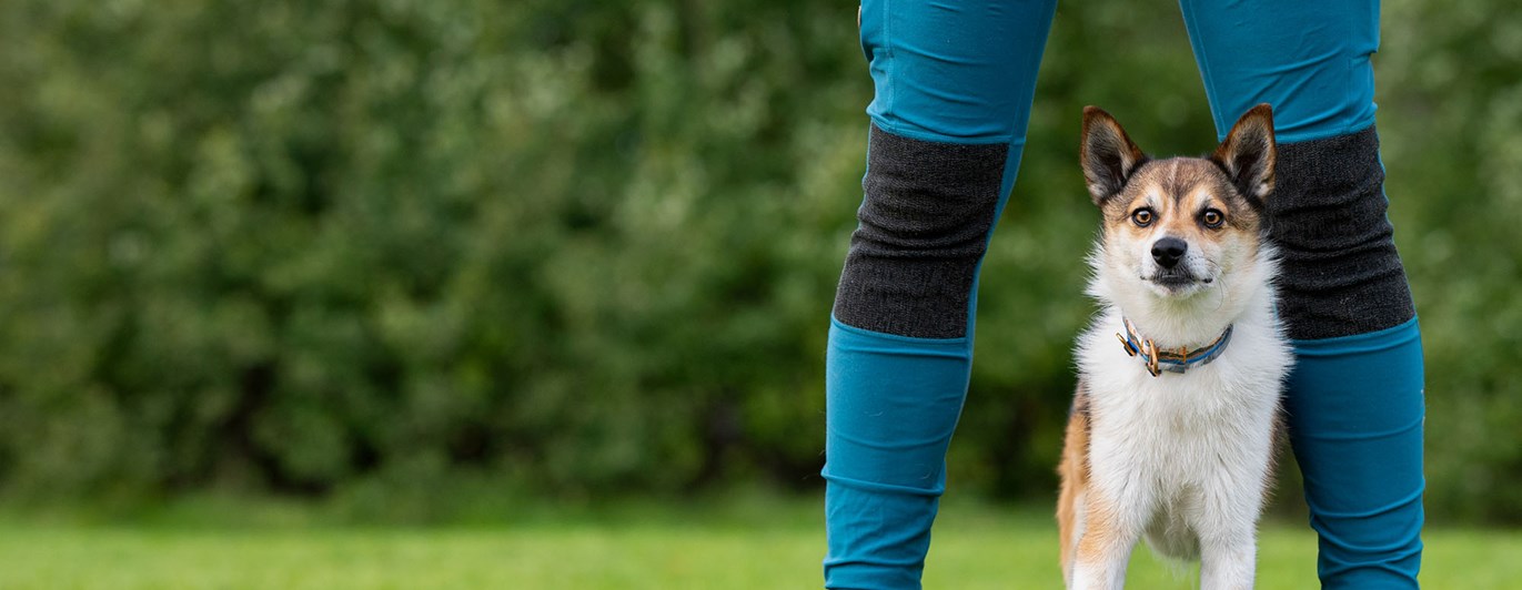 Lundehund med sin matte