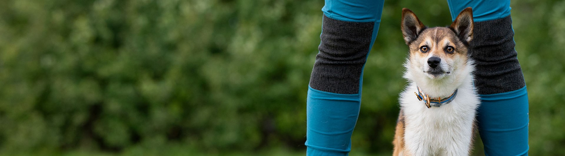 Lundehund med sin matte