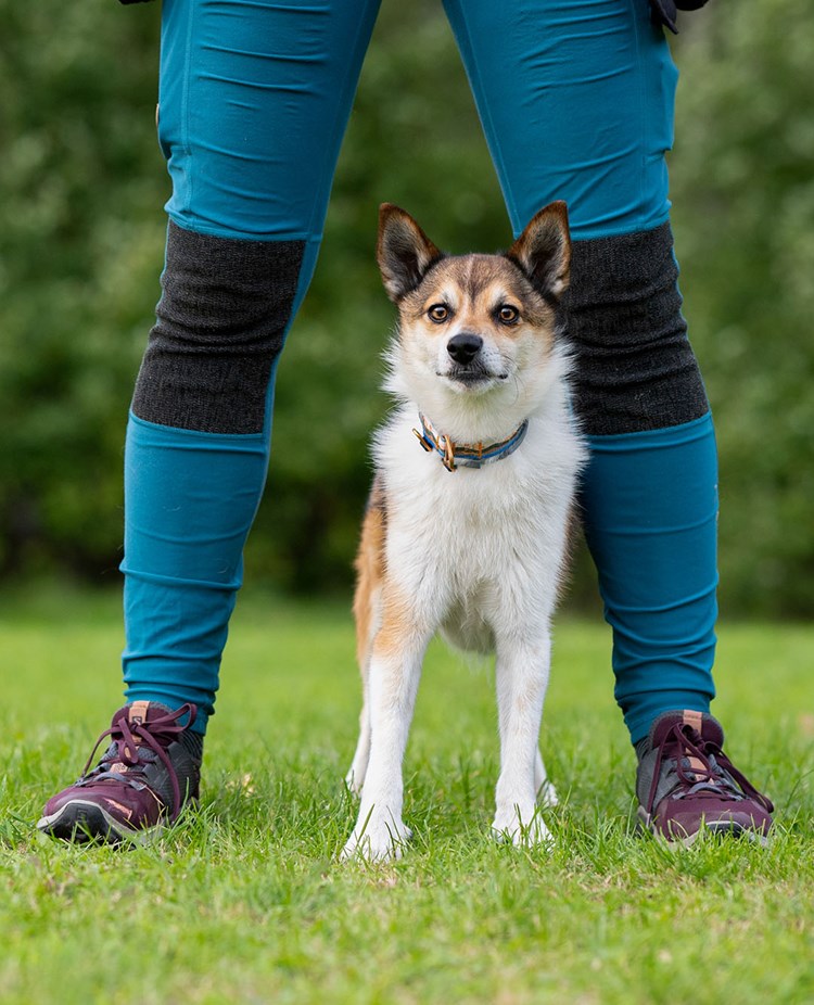 Lundehund med sin matte