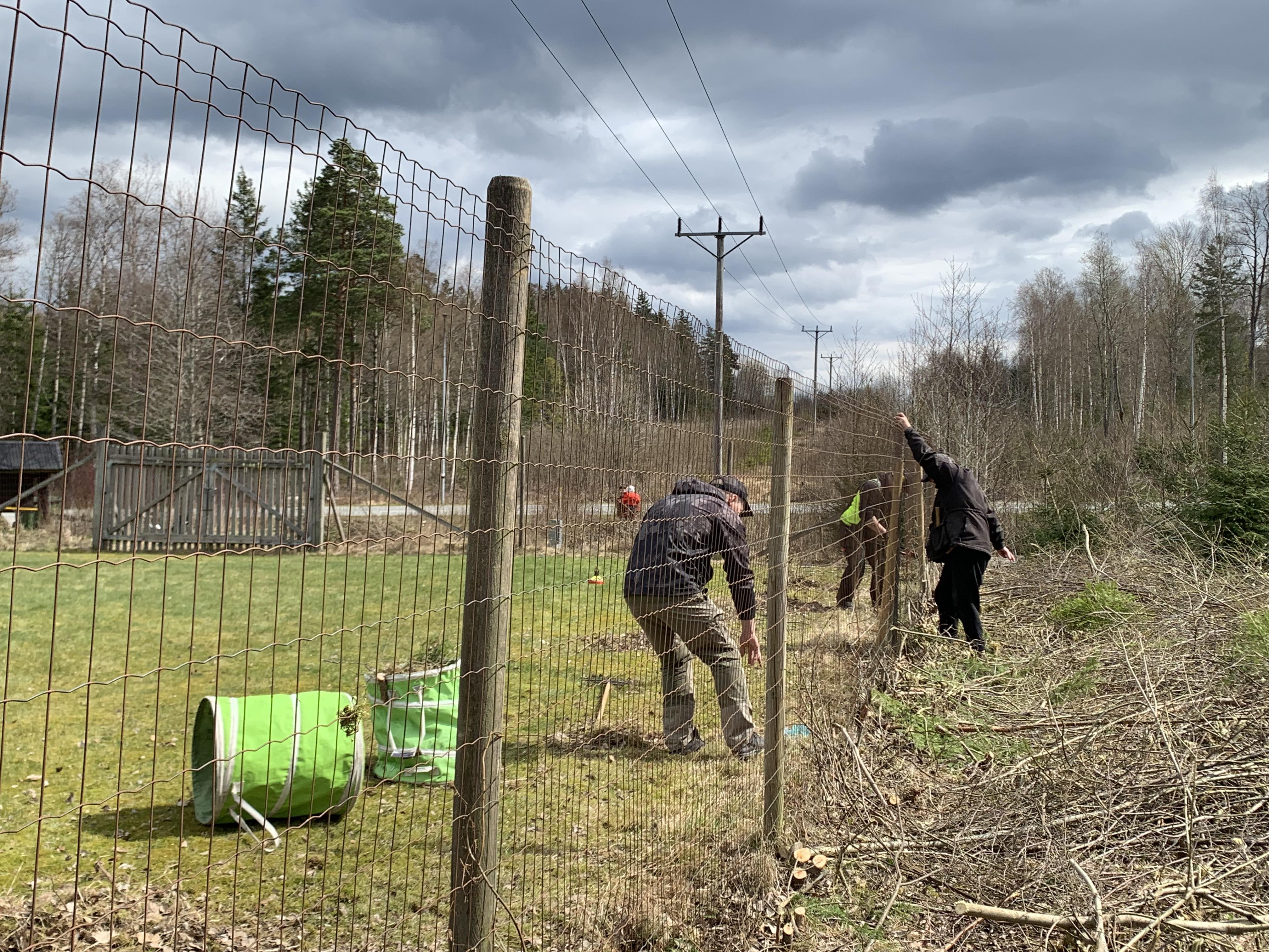 Personer som laggar ett staket. 
