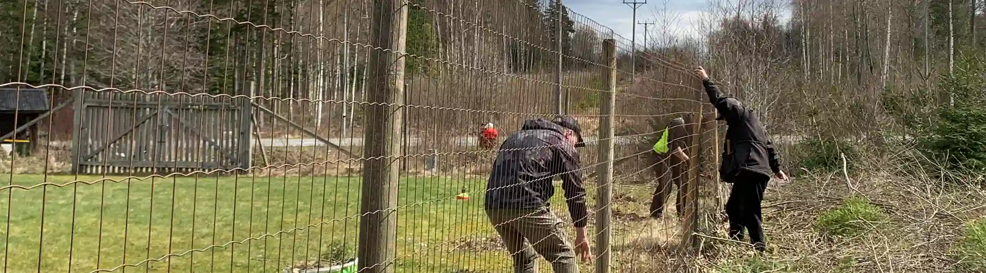 Personer som laggar ett staket. 