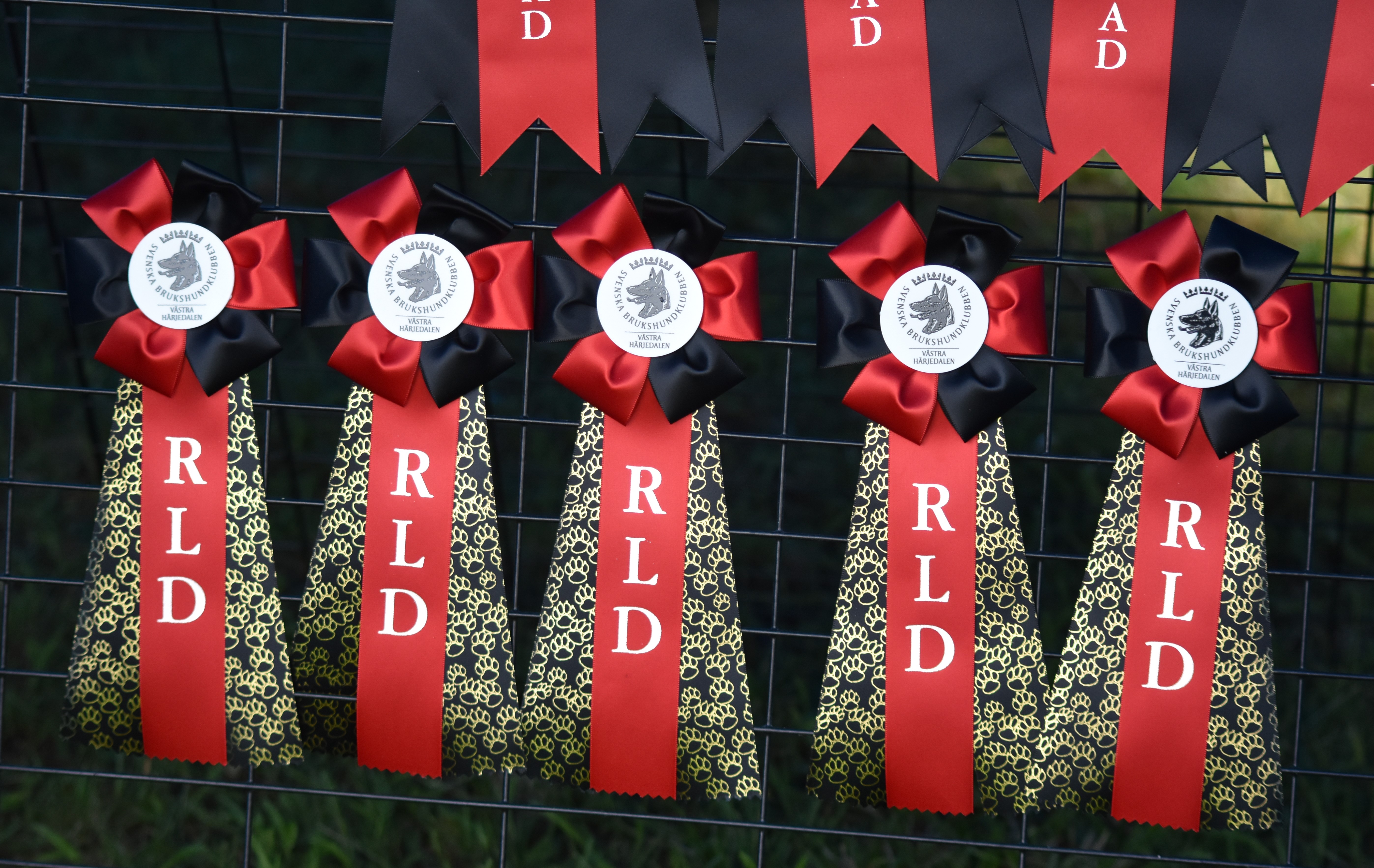 Rallylydnadsrosetter