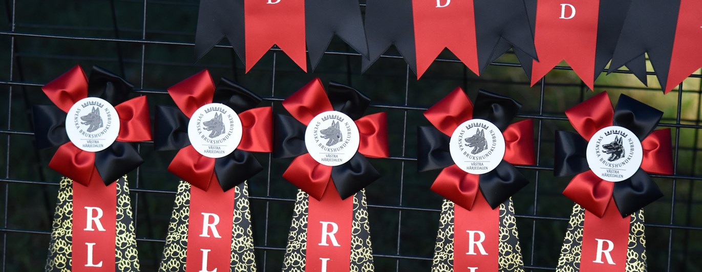 Rallylydnadsrosetter