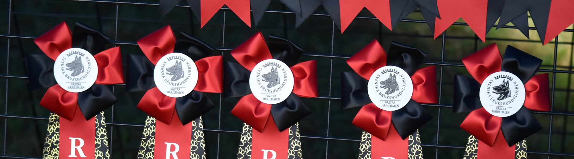 Rallylydnadsrosetter