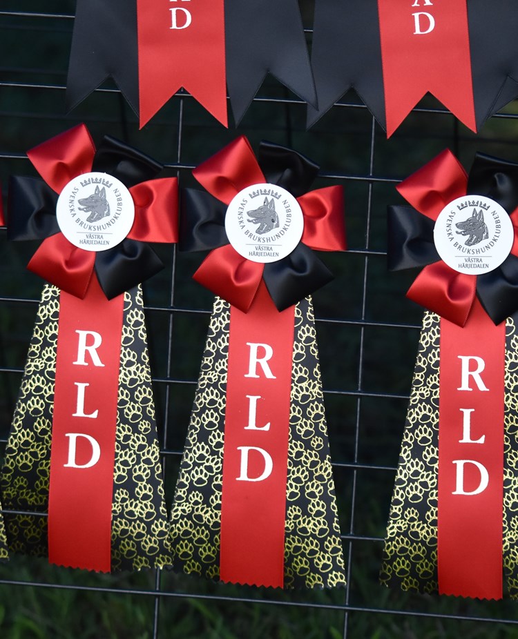 Rallylydnadsrosetter