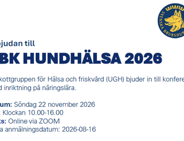 Inbjudan
