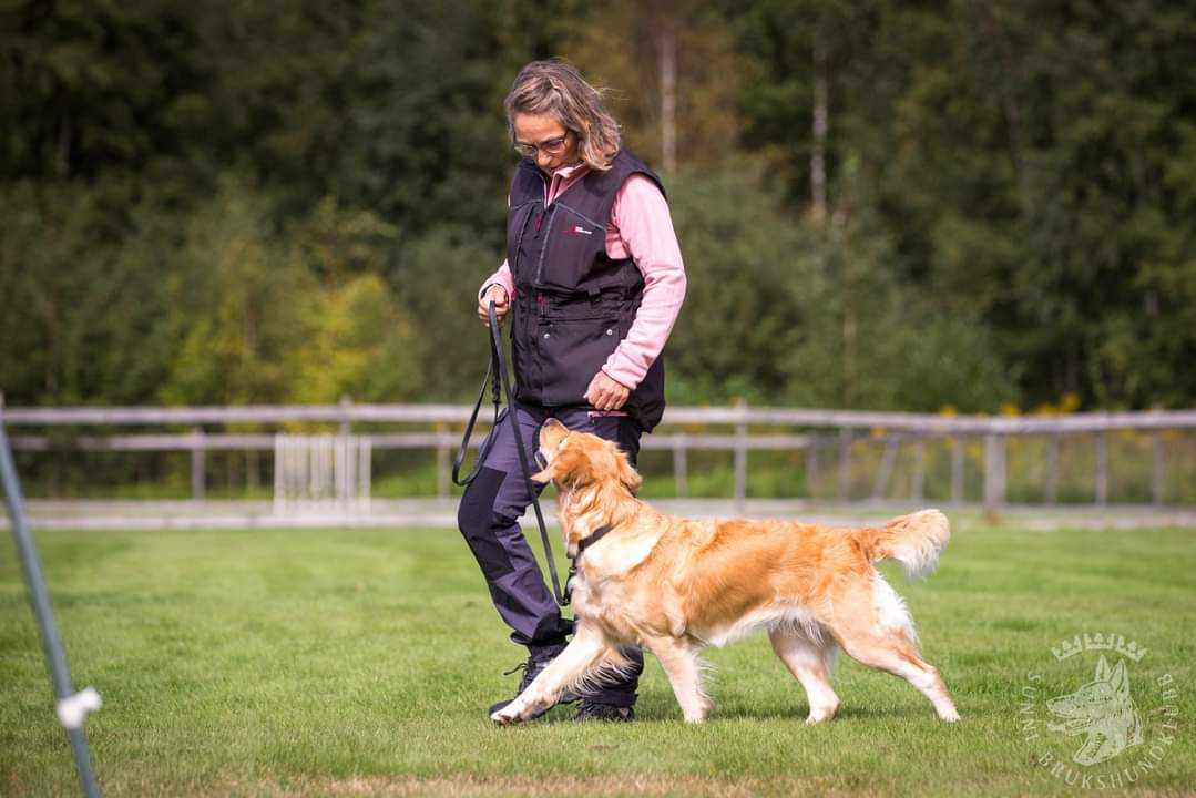 Lena Legnar tränar med sin hund