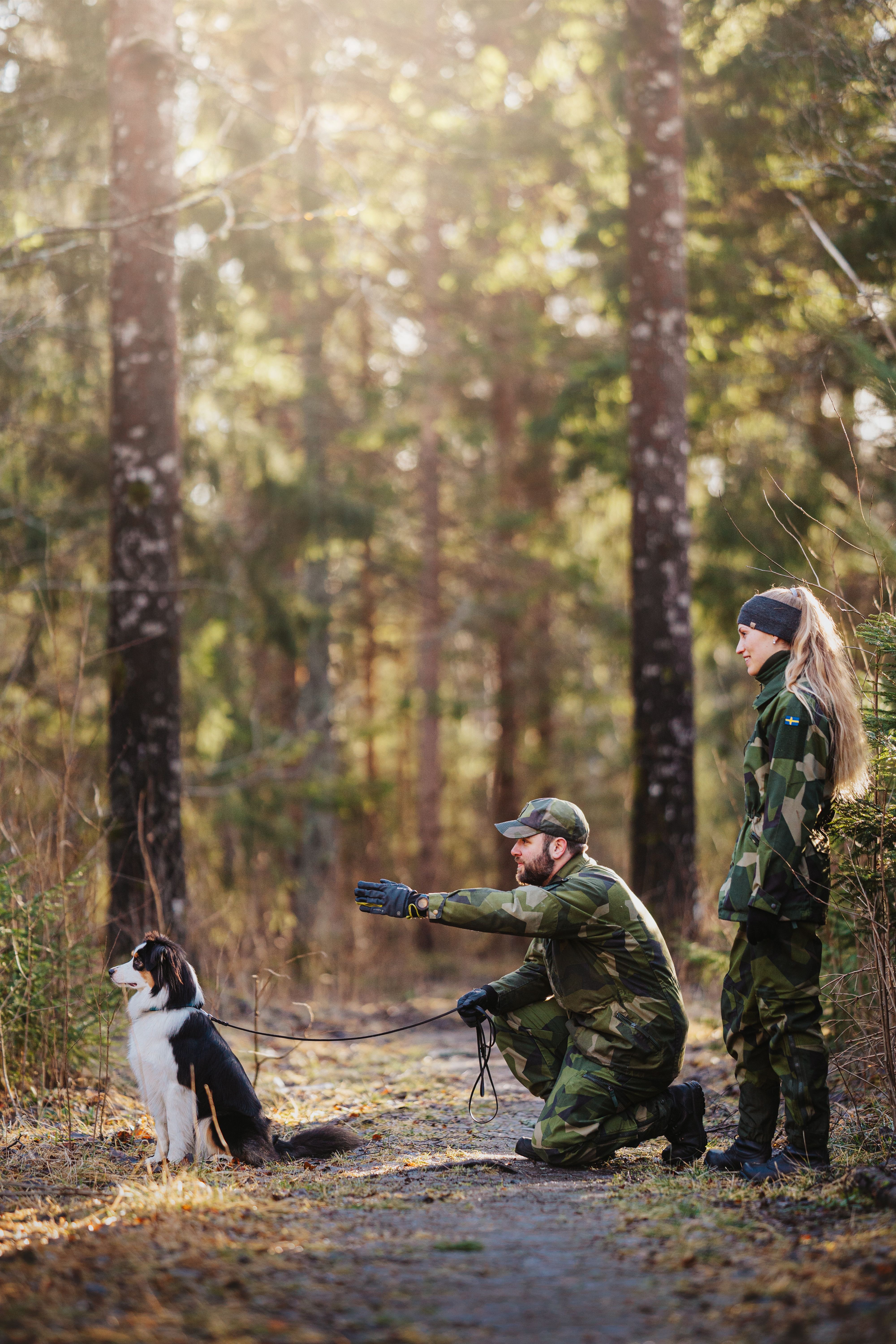 Patrullhundsträning