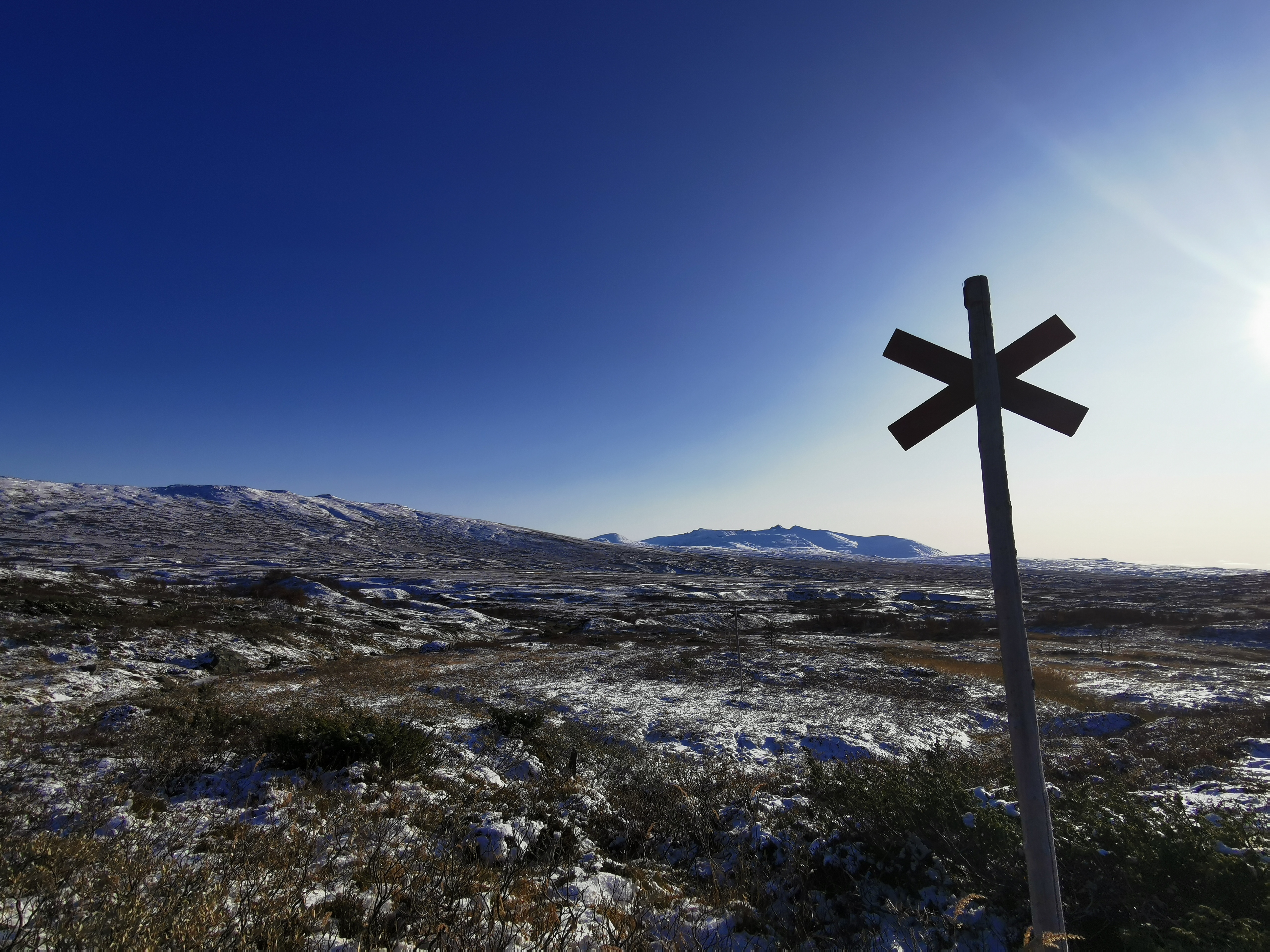 Ledkryss i fjällandskap. Sen höst.