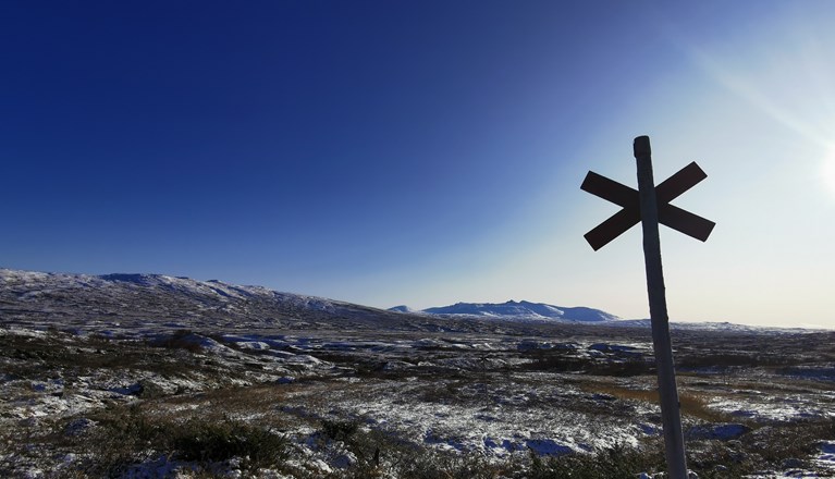 Ledkryss i fjällandskap. Sen höst.