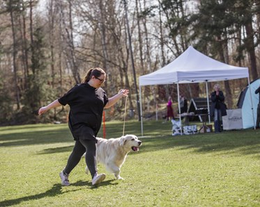 KM vinnare 2024 i Utställning Veteran: Anna Norén & Akilles