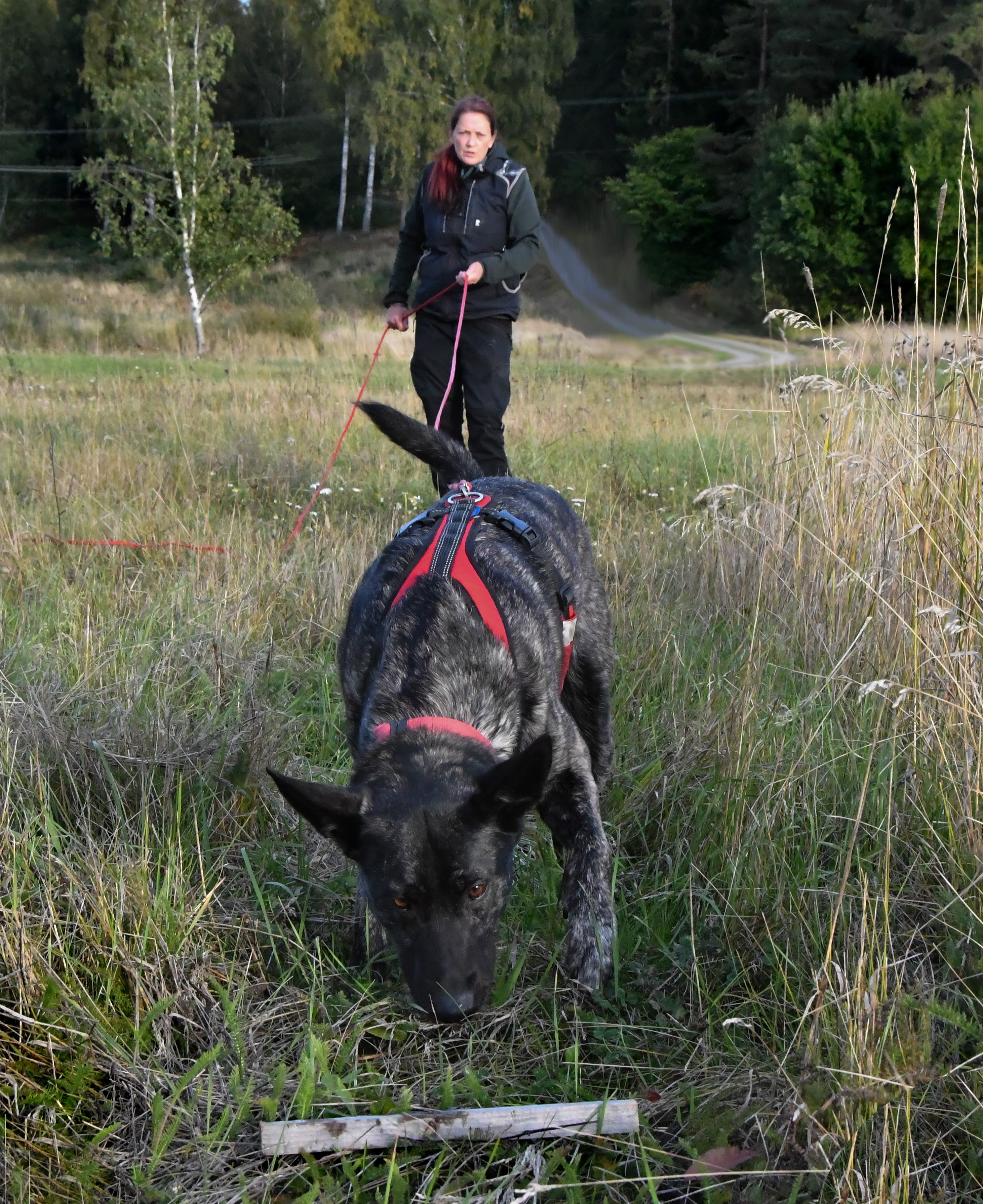 Bild regelbok bruks 2023 