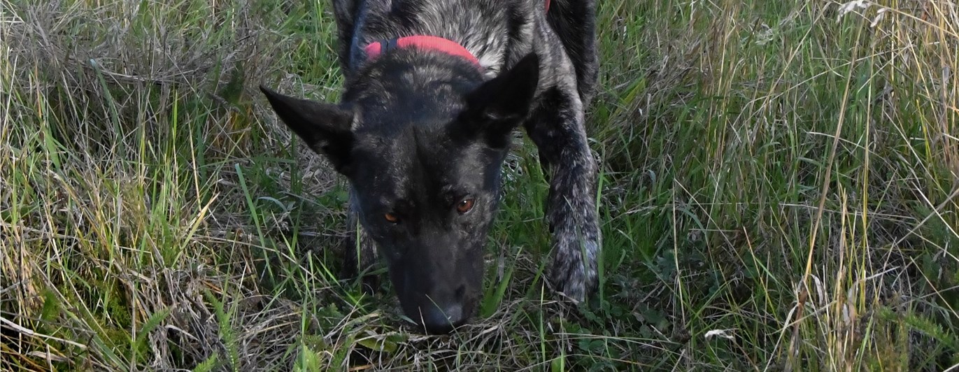 Bild regelbok bruks 2023