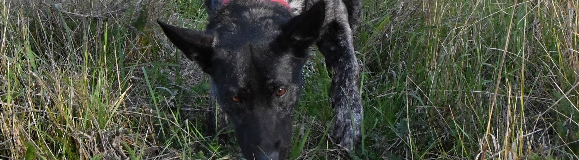 Bild regelbok bruks 2023