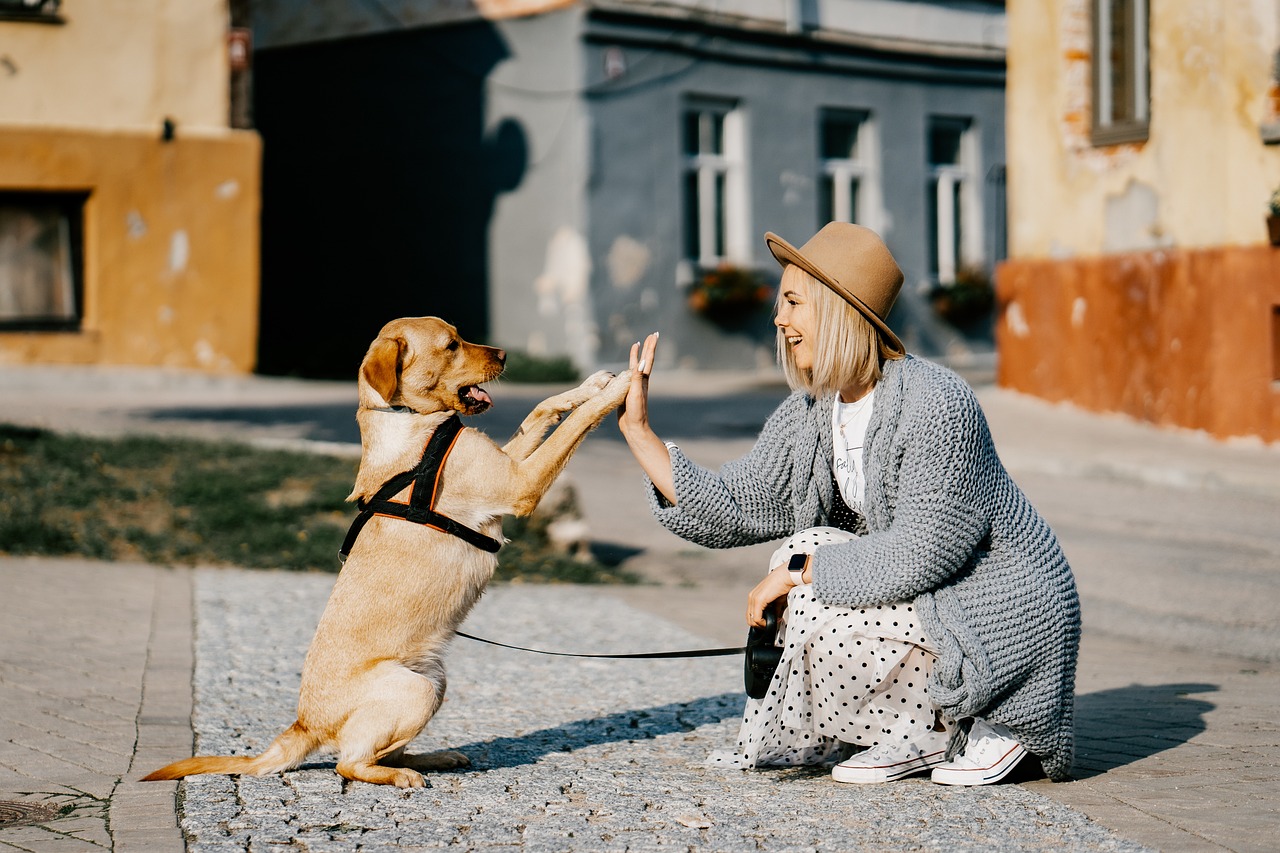 Hund och matte gör highfive med varandra ute på stan.