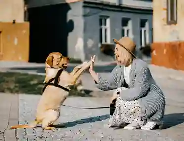 Hund och matte gör highfive med varandra ute på stan.