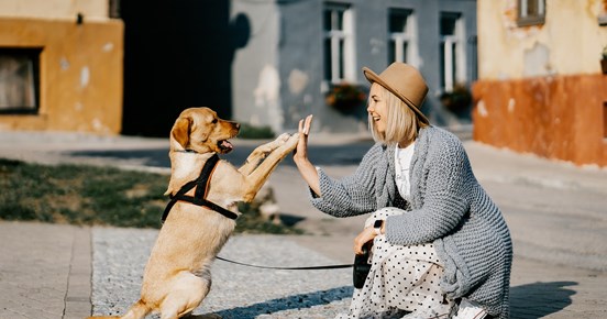 Hund och matte gör highfive med varandra ute på stan.