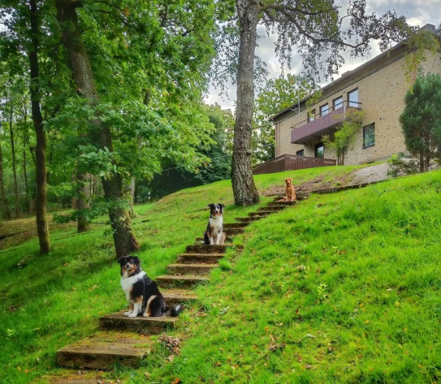 Klubbområde, trappan upp till klubbhuset