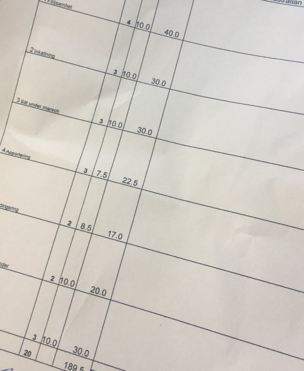 Protokoll tävling lydnad