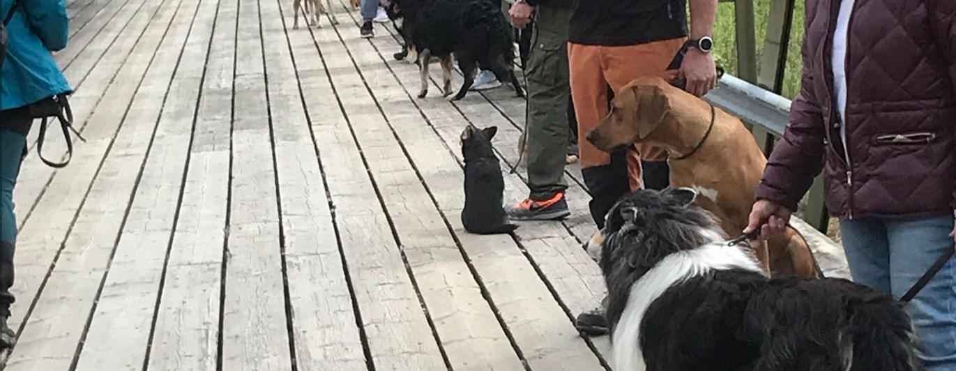 Allmänlydnadskurs på bron.