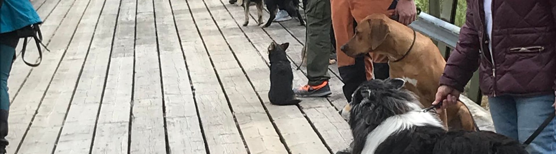 Allmänlydnadskurs på bron.