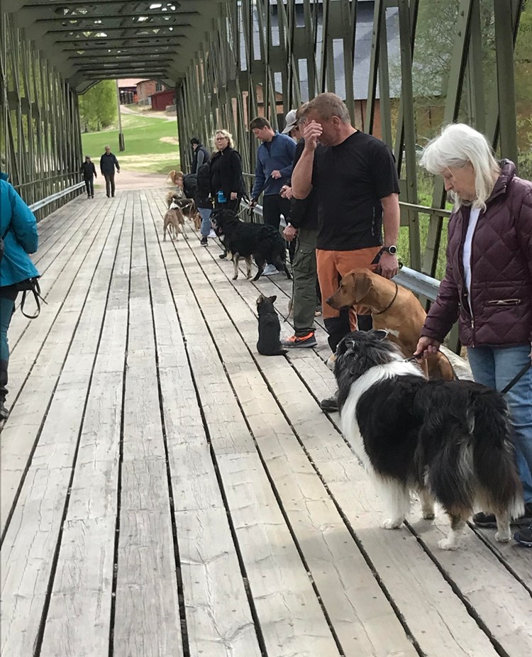 Allmänlydnadskurs på bron.