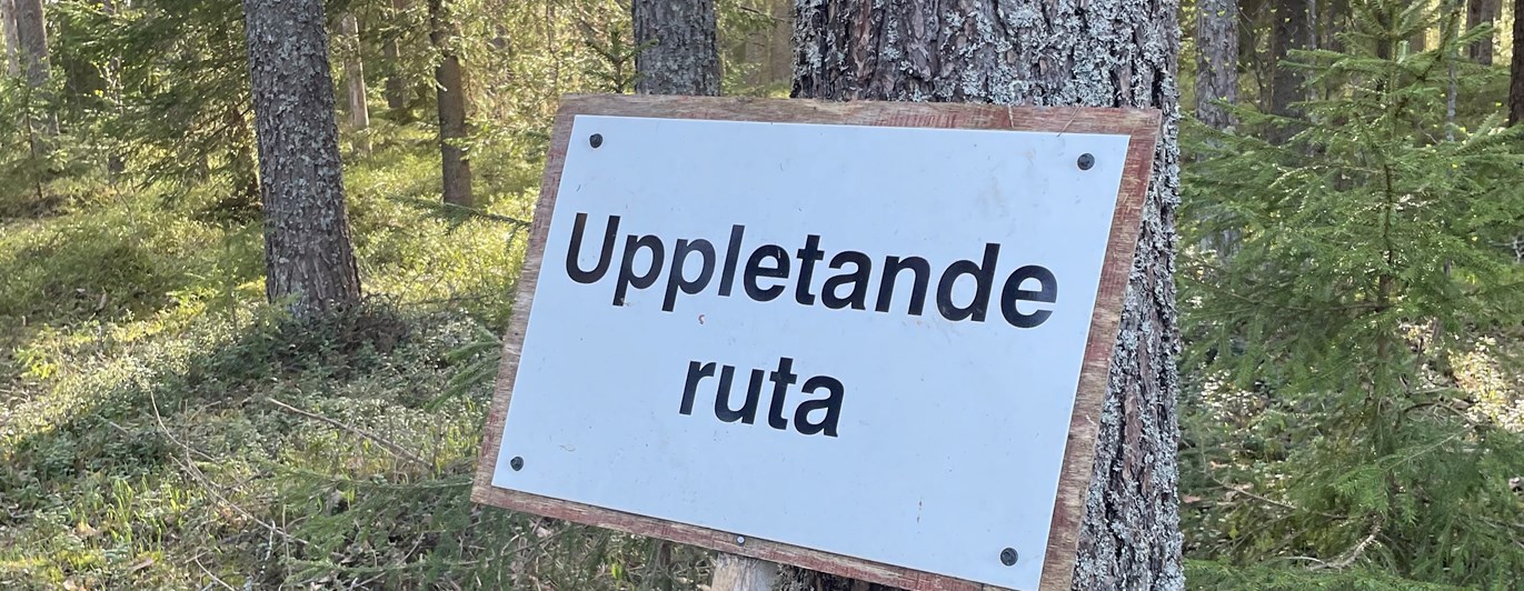 Bild på skylt där det står uppletande ruta