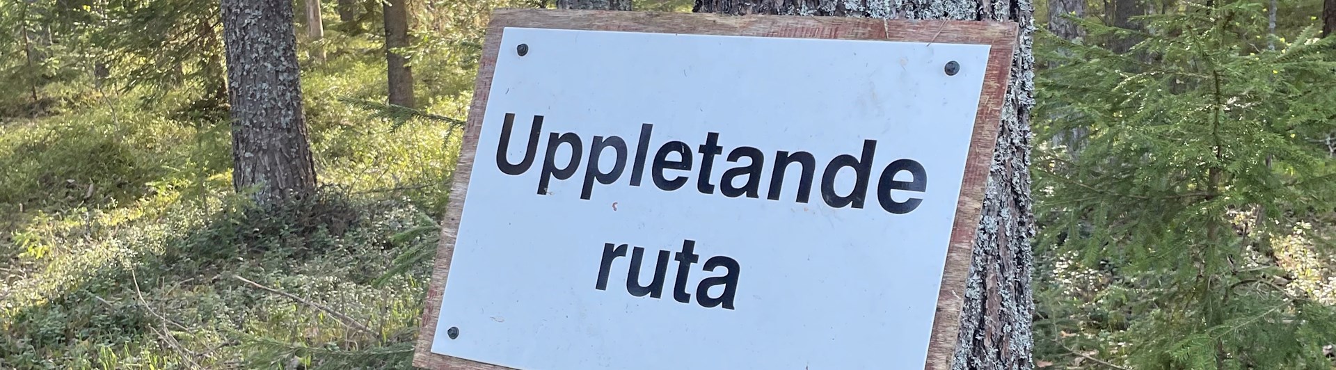 Bild på skylt där det står uppletande ruta